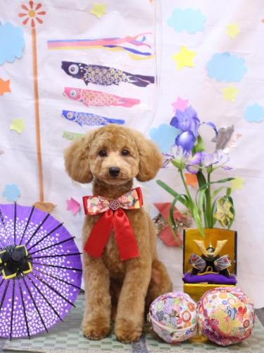 20240524プー太郎くん